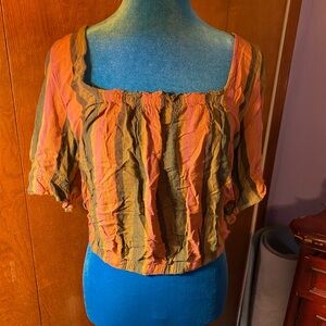 American Eagle Outfitters Orange and Brown Striped Crop Top